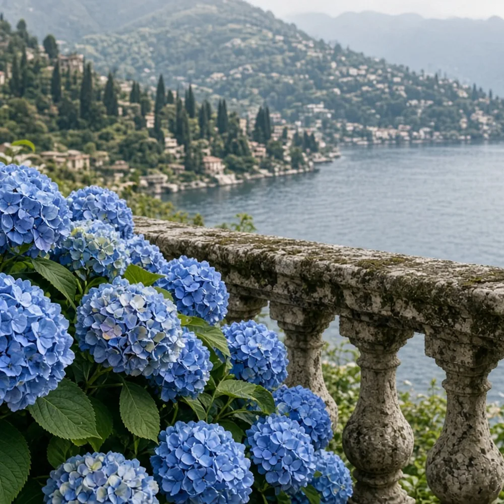 Ortensie azzurre in un vaso vicino alla balaustra